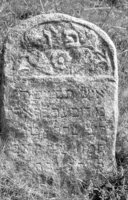 Timkovichi. Jewish cemetery.