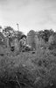 Tjachev. Jewish cemetery.