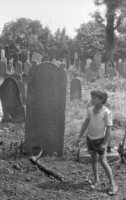 Uzhgorod. Jewish cemetery.