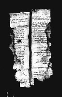 תשובות, פסקים ודרושים.