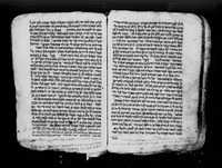 תכלאל.