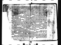 תכלאל.