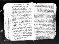 תכלאל.