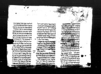 ילקוט שמעוני (פרשת ויקרא, קטעים).