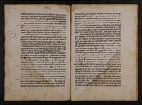 גן עדן.