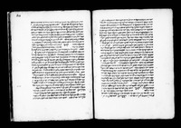 באור הארוך על ספר השמע הטבעי של אריסטו.