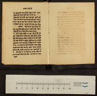 לקוטים על התורה.