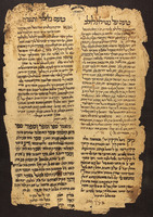 טעמים.