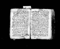 פרוש שלשה עשר עקרים לרמב"ם.