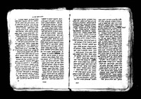 שבט מוסר.
