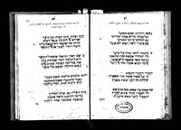 אלה בני הנעורים.