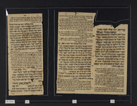 עפר האילים.