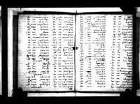 ערוגת בשמים.