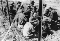 הקמת הגדר בצפון הארץ שצולמו ע"י אליהו כהן הצלם שליווה את כל הארץ.