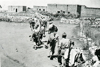 הפלמ"ח נכנס למלכיה.