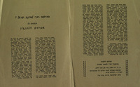 הדרושה רפ"י למדינהת ישראל? תשובתו של אברהם וולפזון.