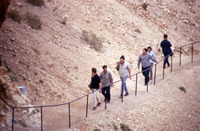 טיול למצדה ולקיבוץ בנגב.