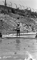 תחרות שחייה-אלומות.