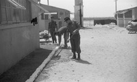 רפיח.
