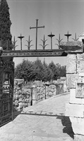 דבוריה.