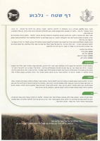 דף שטח - גלבוע.