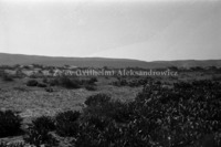 דיונות, קרית חיים