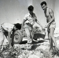 חברת הנוער "העוגן"בבאר אורה.