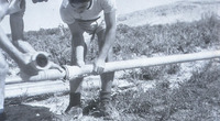 חברת הנוער "העוגן"בבאר אורה.
