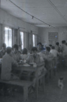 חברת הנוער "העוגן"בבאר אורה.
