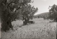 כיבוש מלכיה השני. קרב קשה של חטיבת יפתח נגד הצבא הלבנוני