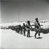 גדוד 13 בחטיבת גולני בפעילות נגד מסתננים בנגב