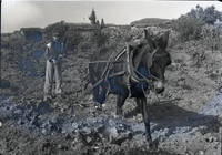 הקמת מסמיה, התיישבות של פועלי אגודת ישראל