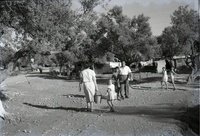 מושב טירת יהודה