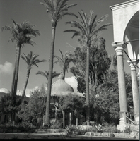 מסגד חאג' ג'זאר אל פחה בעכו