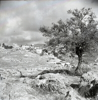 שכונת גבעת שאול בירושלים