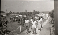 מחנה נופש של הפלמ"ח בקיבוץ נען