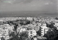 חיפה תחתית במבט עילי מהכרמל