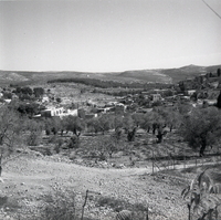 תצלומים של אבו גוש
