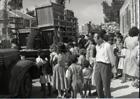 העברת גן החיות התנ"כי מהר הצופים מושכת קהל רב ברחובות