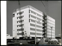 תצלומים - OFFICE BUILDING INTERNATIONAL PETROLEUM, קורל גייבלס.