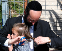 מירון - חלקה.