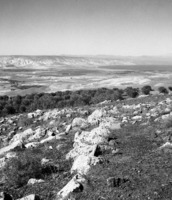 כוכב הירדן.