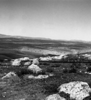 כוכב הירדן.