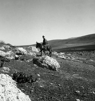 כוכב הירדן.