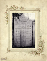Jüdischer Friedhof Seegasse 9 (Jüdischer Friedhof Rossau) - Gravestone of Naftali Hirz Kuh from Prague.