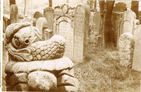 Jüdischer Friedhof Seegasse 9 (Jüdischer Friedhof Rossau) - General view with several gravestones and the monument of the "crying fish".