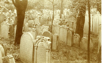 Jüdischer Friedhof Seegasse 9 (Jüdischer Friedhof Rossau) - Samson Wertheimer (1).