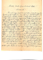 Letter from Dr. Alajos Fekete in Lugos to Ignac Hirschler in Pest, 1868/05/08.