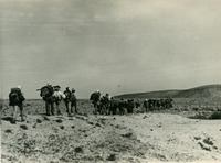 טיול חברים לסביבת עין-גדי.