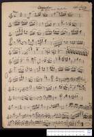 Concertino for flute and orchestra (manuscript) : op. 245.